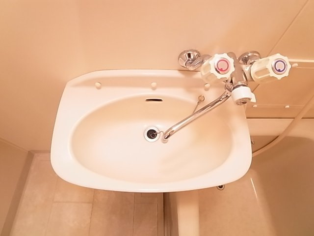 メゾンアサバの洗面所