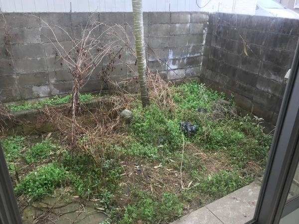 【庭】 | 奥平戸建