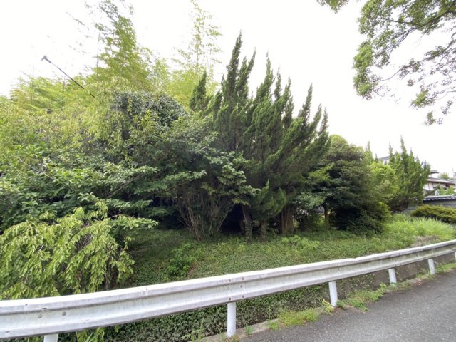 【前面道路含む現地写真】 | 口原売地