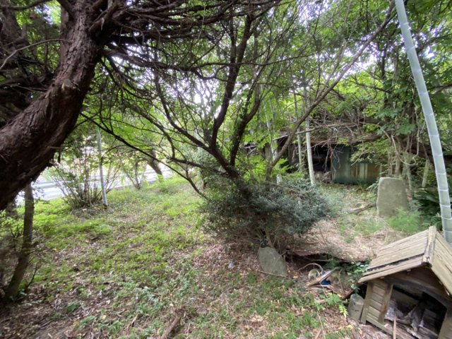 【前面道路含む現地写真】 | 口原売地