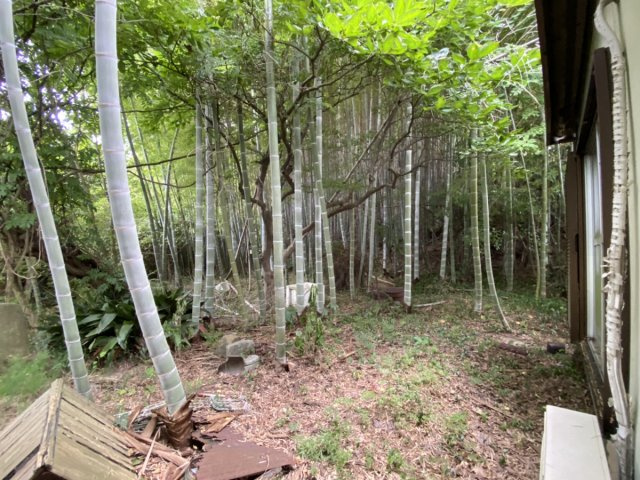 【前面道路含む現地写真】 | 口原売地