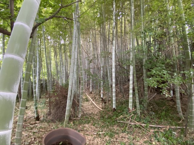 【前面道路含む現地写真】 | 口原売地