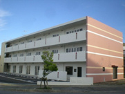 ハピネスの画像