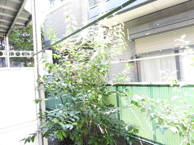 やままんアベニューの展望