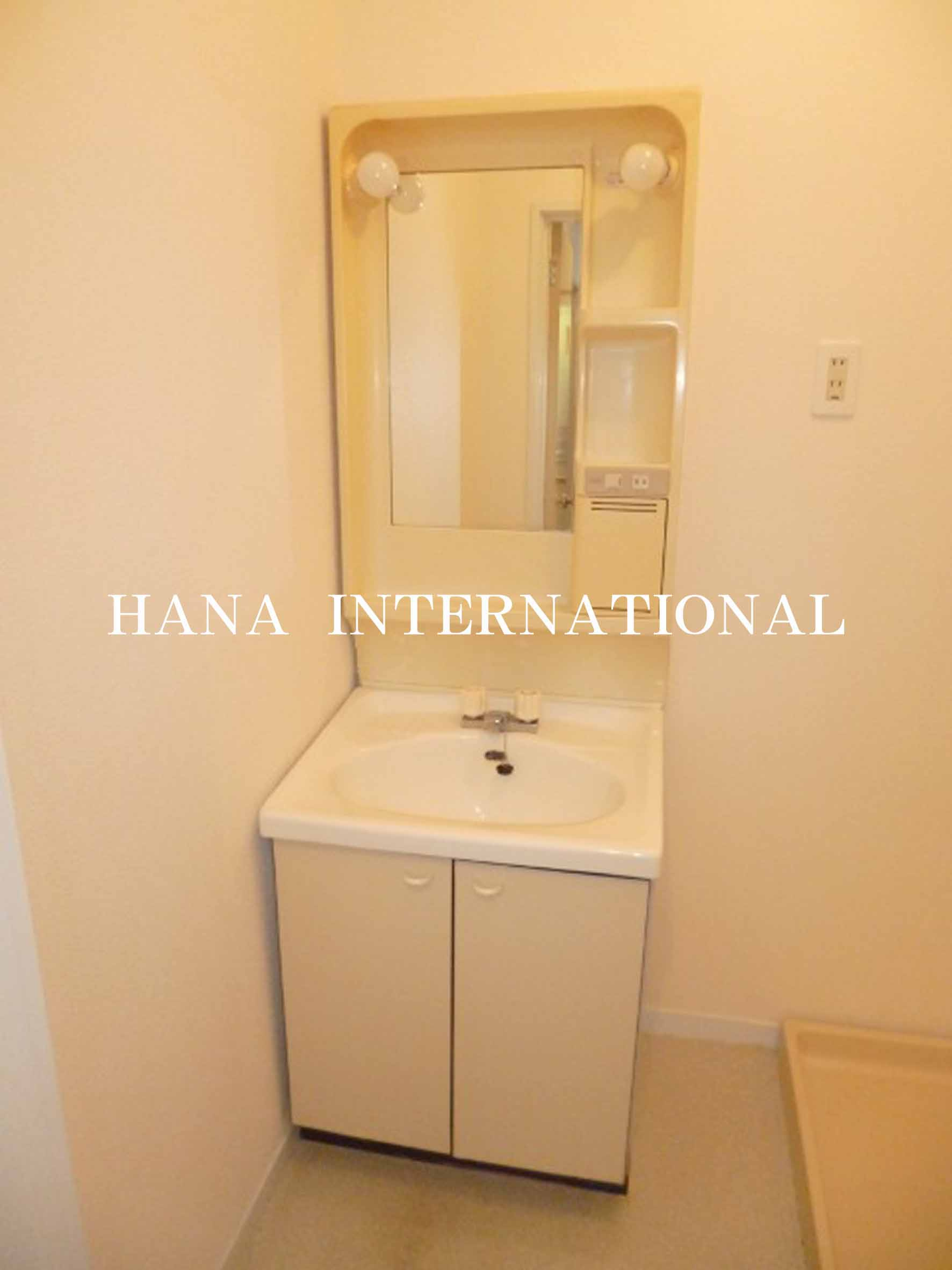 メゾンプルミエの洗面所