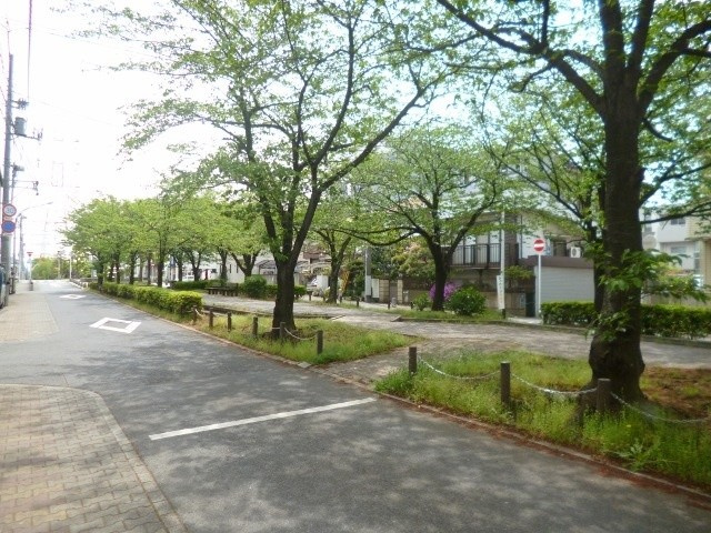 パルシオン富士見の周辺|物件前が緑道となり、春には桜が満開です(^^)/