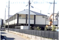 メリー・ヤード泉の画像