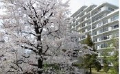 【外観】 | Espoir