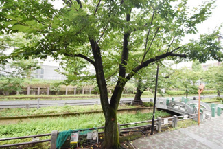 【展望】 | 物件のお問い合わせは、 ０１２０－７００－９６８までお気軽にどうぞ！
バルコニーからの眺望　緑豊かな住環境