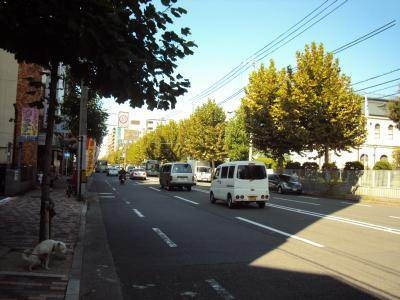 ミレニアム公和Ⅲの地図|前面道路