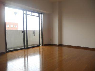 ミレニアム公和Ⅲの居間・リビング|洋室