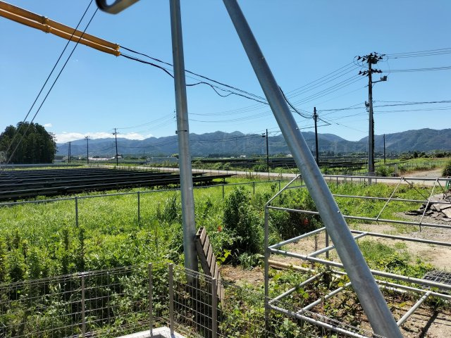 【展望】 | ウィンディレディ