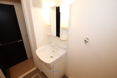 【洗面所】 | サンミシェル | 明るい洗面所です
サン=ミシェル205号室　2020/12/25撮影