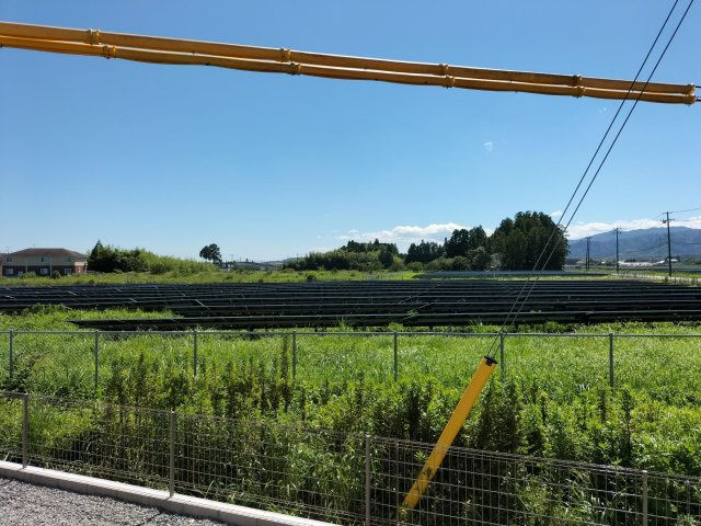 ウィンディレディの展望