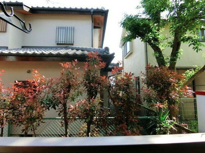 【展望】 | パークアベニュー