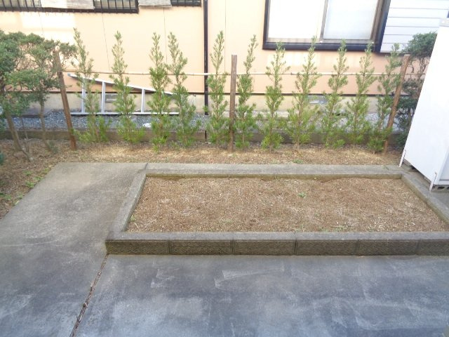 テラスハウス土屋の庭