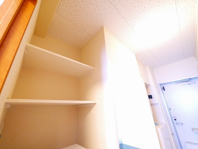 ロイヤルSK指柳の収納|たっぷりとした収納スペースです