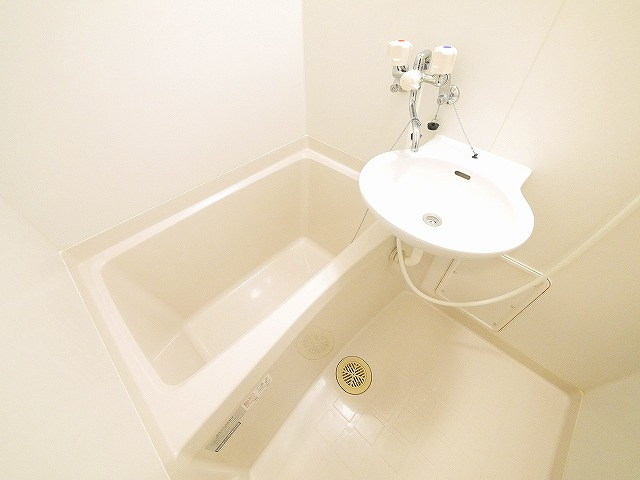 ロイヤルSK指柳の設備|洗面ボウルつき