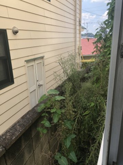 【庭】 | 高美ハウス