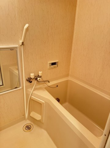 エステ東田の浴室