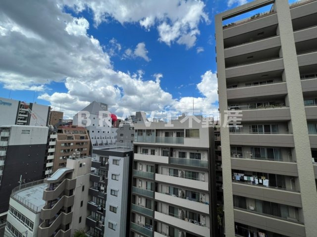 パークフラッツ安堂寺町　BRAVI不動産の展望|【パークフラッツ安堂寺町】眺望