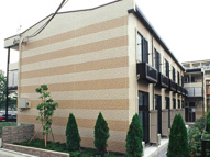 ワカクサの画像