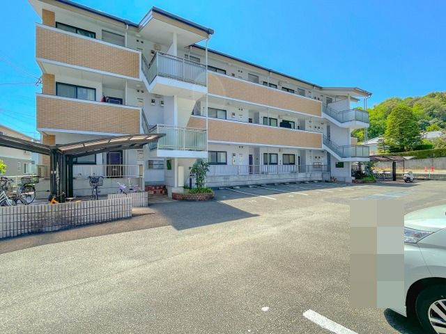 プロムナード万々