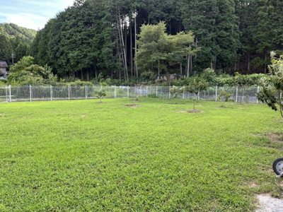 【その他共用部分】 | ハイツ森上 | ドッグラン付き！