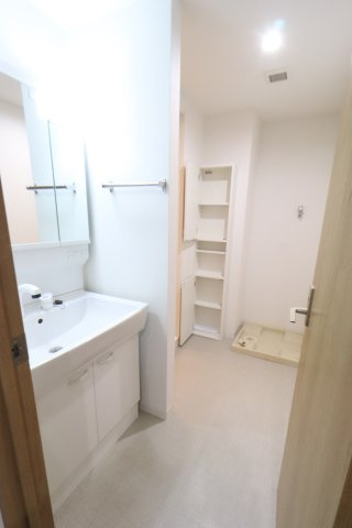 アンモード　イグサ4の洗面所|反転タイプのお写真です。