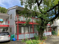 グレース小川の画像