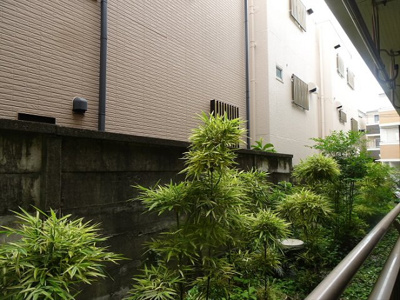 【展望】 | キャベッジホワイト