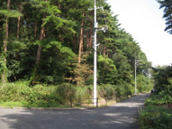 西伯郡伯耆町丸山の売地の画像