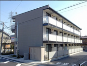 ユーフォリアの画像