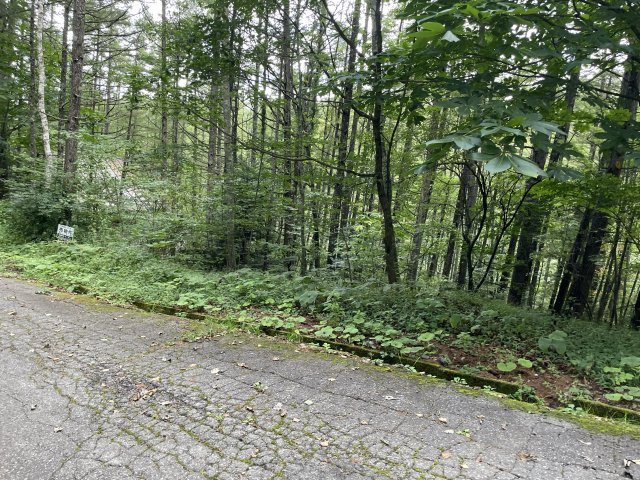別荘地　大滝村の画像