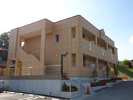 フロール・デ・セレッソの画像