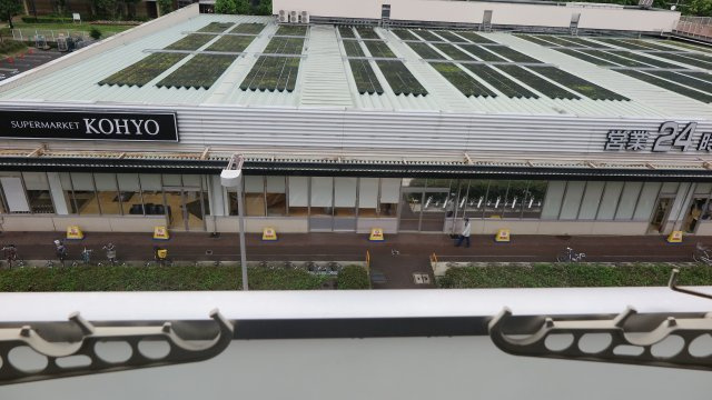 PLYの展望