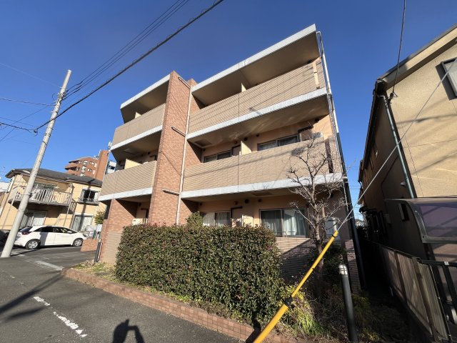 コスモアージュ