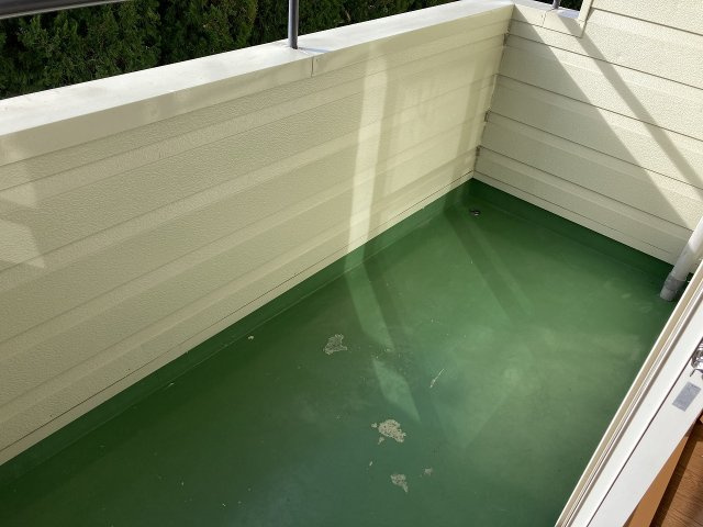 ユートピアサフラワのその他