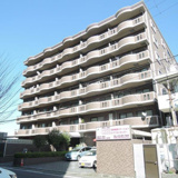 ルミエール八尾の画像