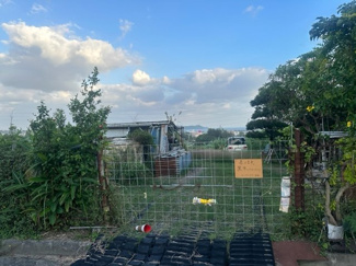  | うるま市江洲　畑　680.92坪