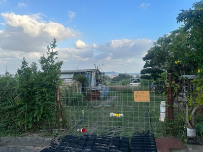  | うるま市江洲　畑　680.92坪