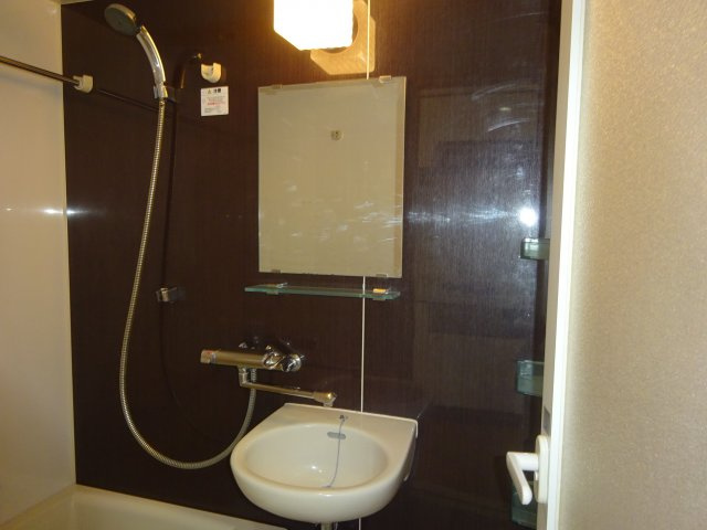 スカイコート新小岩の洗面所