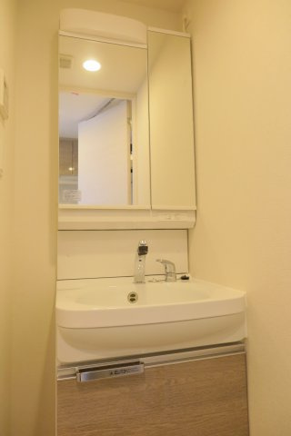 プレサンス難波クチュールの洗面所