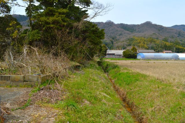 東林木町　売土地の外観|東側の様子。敷地面積3584.60㎡（1084.34坪）
