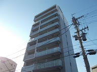 プライムローズ（Prime Rose）の画像