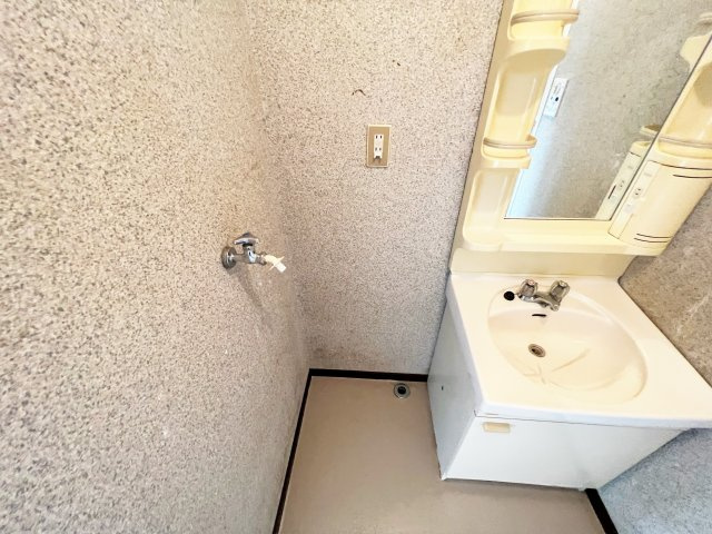 岩田ハイツB棟の洗面所