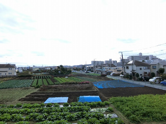 ファヴォーレⅡの展望