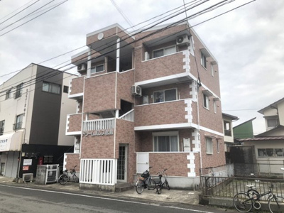 【エントランス】 | ドリームパレス松島