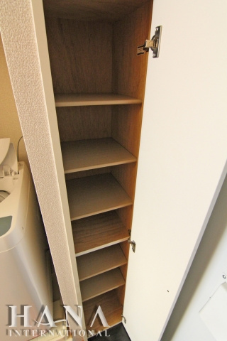 レオパレスパピエ薫風の収納