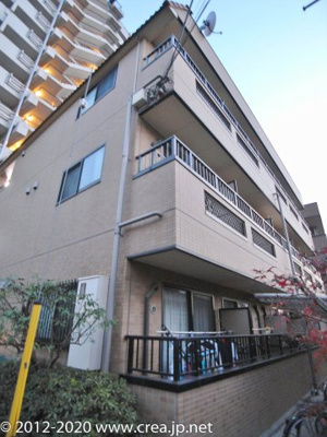 【外観】 | JC SOUTH SHIKI 295